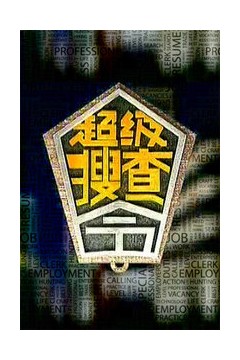 超级搜查令2006