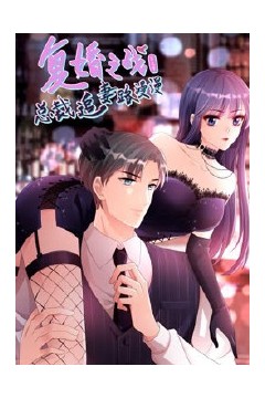 复婚之战：总裁追妻路漫漫第三季