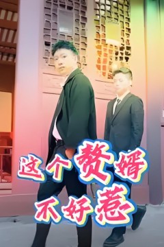 这个赘婿不好惹