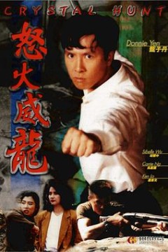 怒火威龙怒火威龍