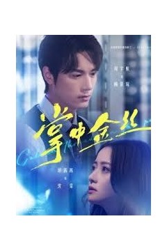 掌中金丝(长姐她竟是隐藏大佬)