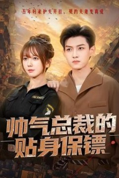 帅气总裁的贴身保镖