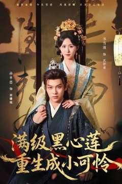 满级黑心莲重生成小可怜