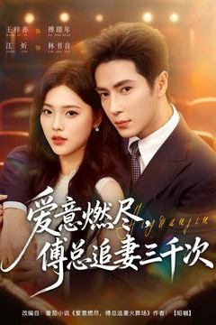 爱意燃尽，傅总追妻三千次