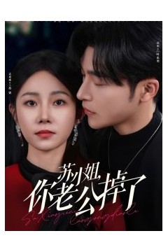 苏小姐你老公掉了