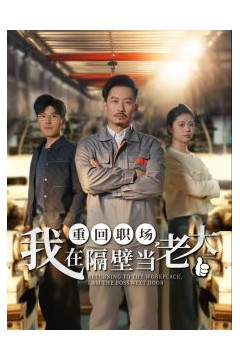 重回职场，我在隔壁当老大