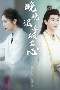 晚晚迟来倾君心