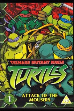 忍者神龟第五季