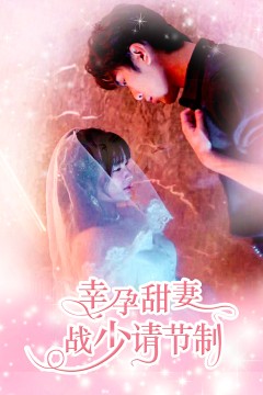 幸孕甜妻战少请节制