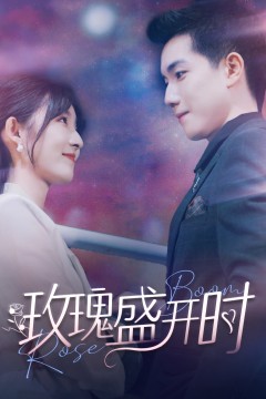 玫瑰盛开时