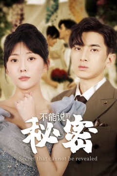 不能说的秘密短剧版