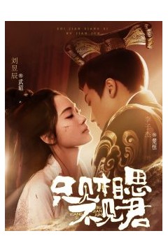 只见相思不见君