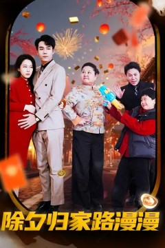 除夕归家路漫漫