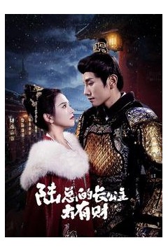 陆总的长公主太有财