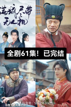 满城尽带无人机