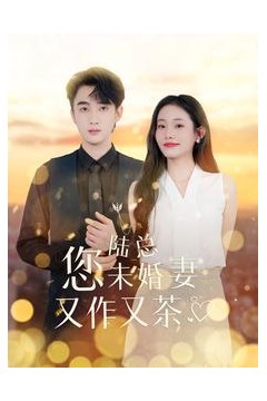 陆总您未婚妻又作又茶