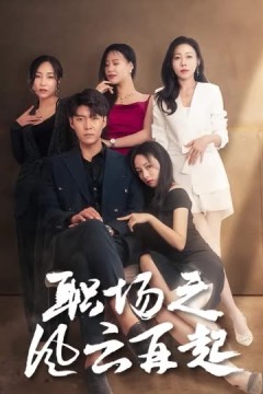 职场之风云再起