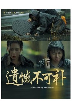 遗憾不可补