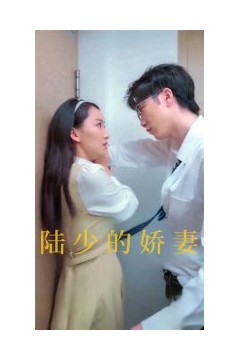 陆少的娇妻