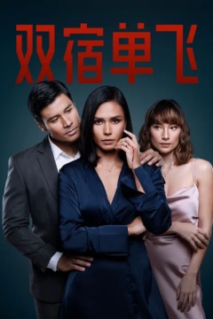 双宿单飞