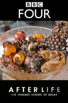 生命循环：奇异的腐烂科学