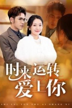 时来运转爱上你