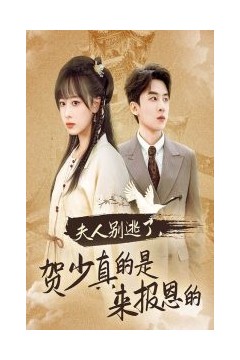 夫人别逃了贺少真的是来报恩的