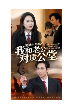 婆婆出车祸后我和老公对质公堂