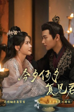 今夕何夕复见君