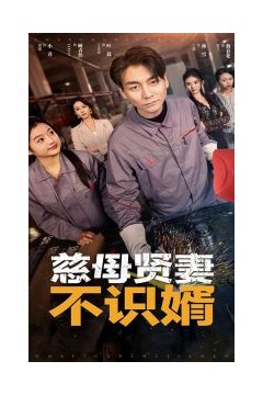 慈母贤妻不识婿