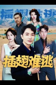 插翅难飞短剧