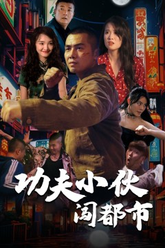 功夫小伙闯都市