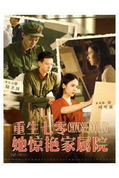 重生七零她惊艳家属院