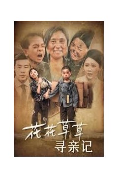 花花草草寻亲记