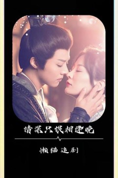 情深只恨相逢晚