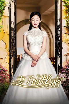 妻子的秘密短剧版