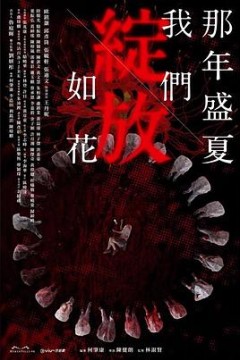 那年盛夏我们绽放如花