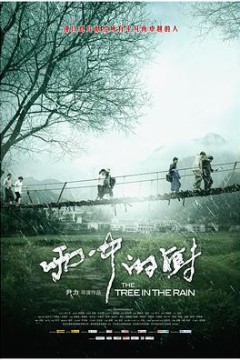 雨中的树