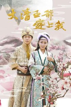 大清王爷爱上我