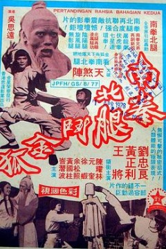 南拳北腿斗金狐