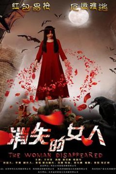 消失的女人2016