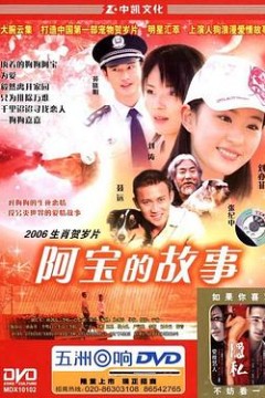 阿宝的故事