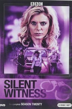 无声的证言第二十季