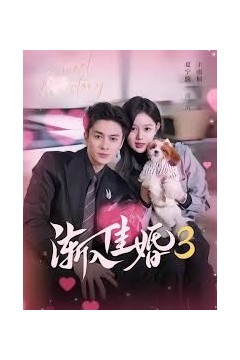 渐入佳婚3第三部