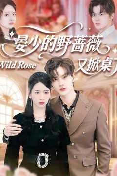 晏少的野蔷薇又掀桌了