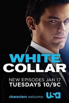 妙警贼探第三季