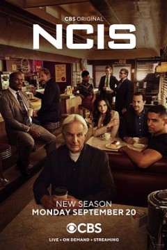 海军罪案调查处第十九季