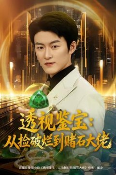 透视鉴宝：从捡破烂到赌石大佬