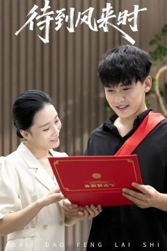 待到风来时