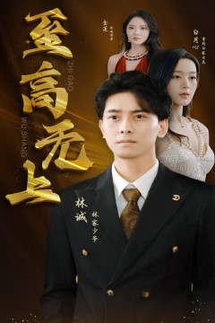 至高无上短剧版